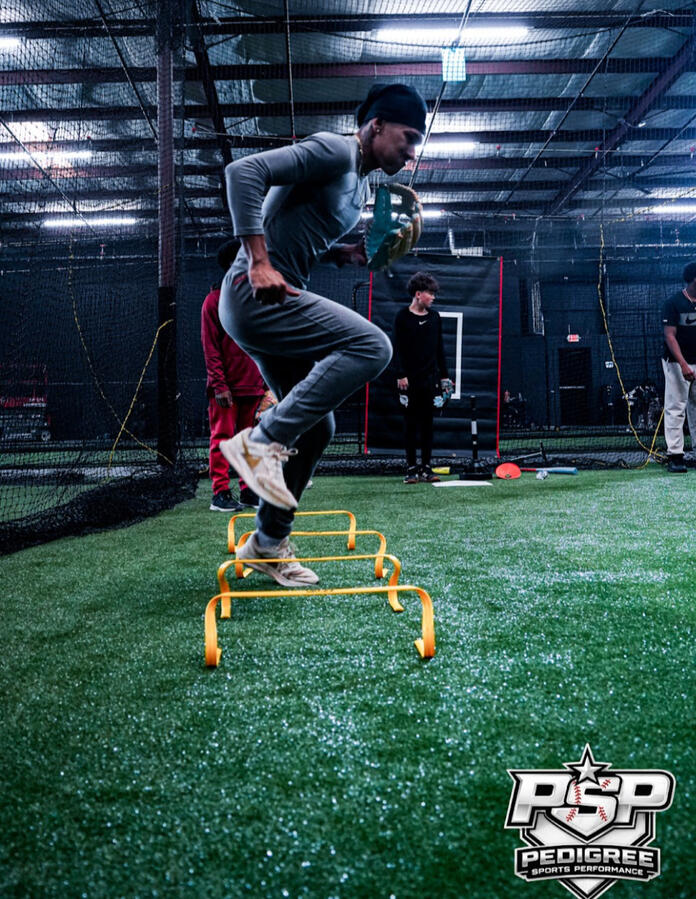 Agility Hurdle Training at Pedigree Sports Performance