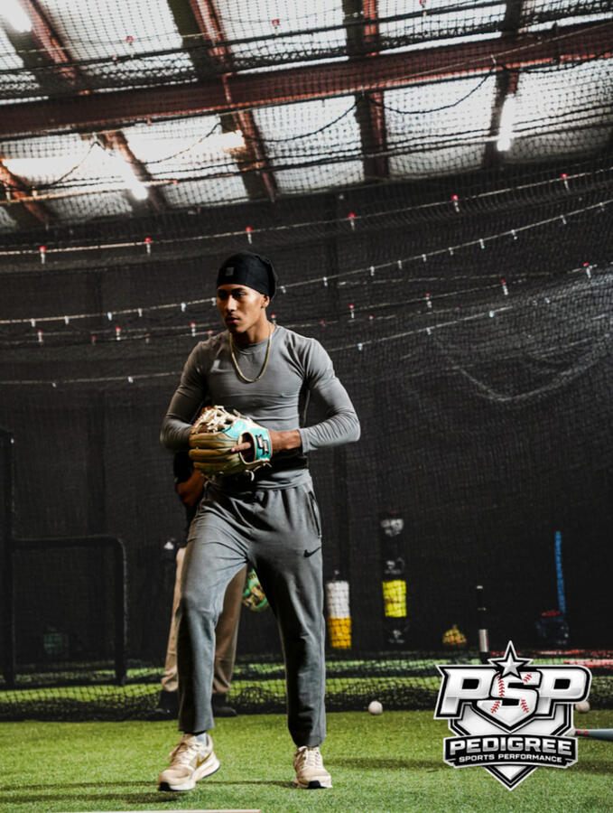 Athlete Fielding Stance at Pedigree Sports Performance