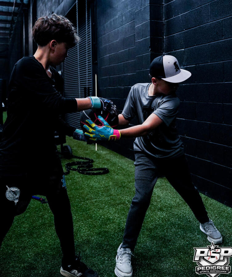 Baseball Training Facility in Greer, SC - Pedigree Sports Performance