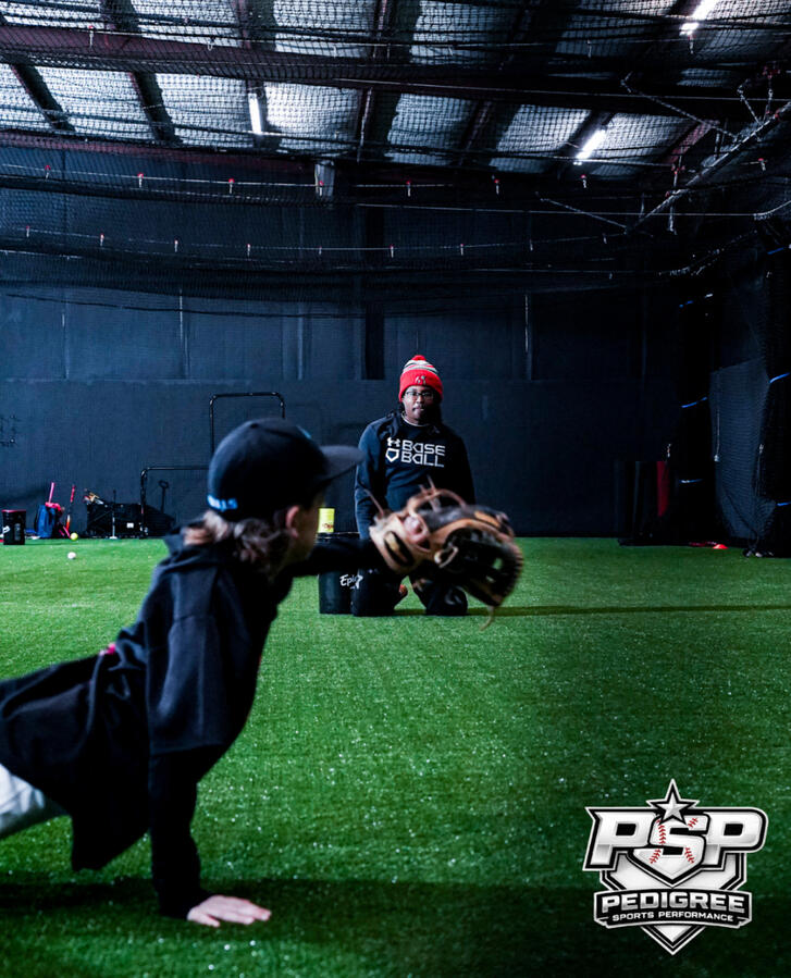 Baseball Hitting Lessons in Boiling Springs, SC - Pedigree Sports Performance